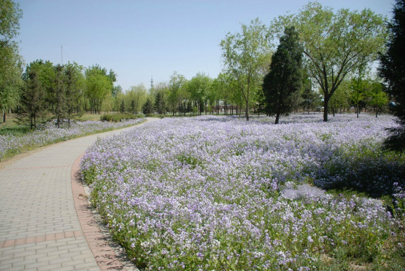 北京市朝陽區健生養老院