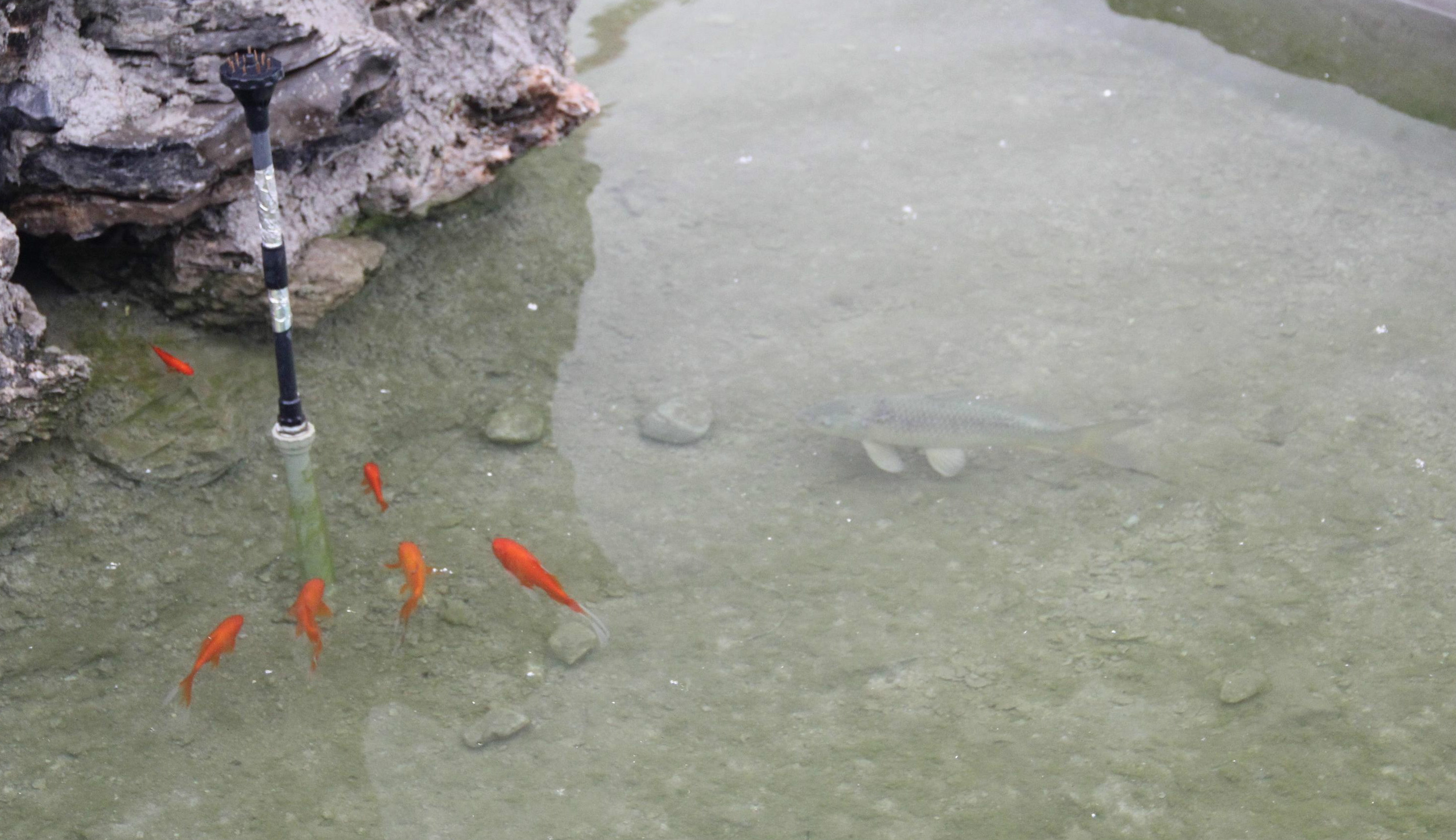 天津市薊縣五名山養老院 天津市薊縣五名山養老院