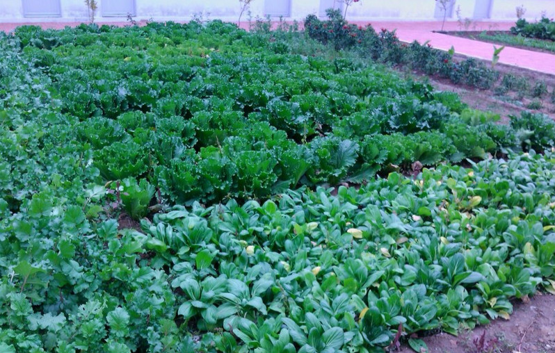 天津市薊縣五名山養老院 天津市薊縣五名山養老院