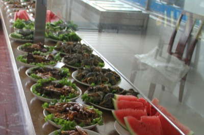 大連御湘苑養老服務中心 大連御湘苑養老服務中心