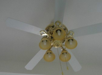 長壽之鄉(xiāng)候鳥老人之家 長壽之鄉(xiāng)候鳥老人之家