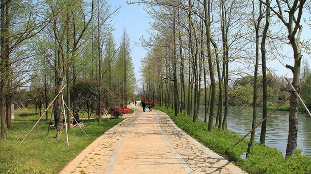 杭州市皋亭山養老院