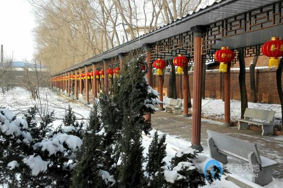 沈陽世外桃源老年養護中心 沈陽世外桃源老年養護中心