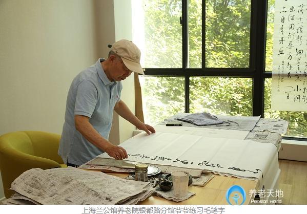 上海徐匯區華匯老年福利院(蘭公館銀都分院) 上海徐匯區華匯老年福利院(蘭公館銀都分院)