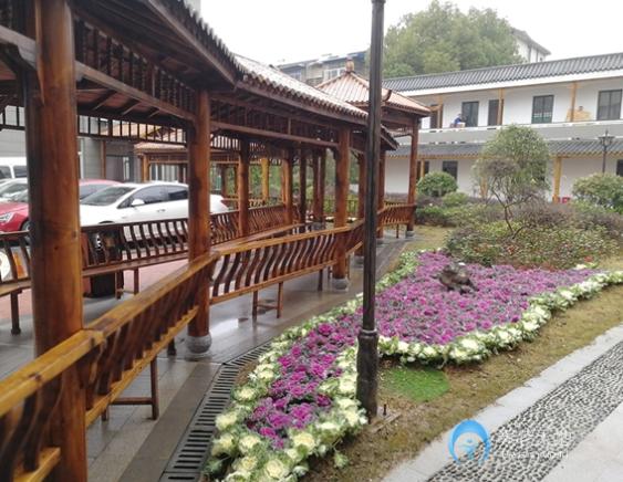 蕪湖鏡湖頤樂堂醫養結合老年公寓