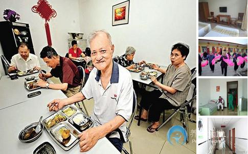 松樹(shù)橋養(yǎng)老院 松樹(shù)橋養(yǎng)老院