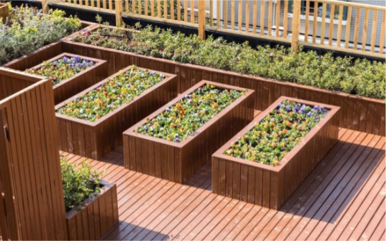 上海閔行艾為康長者照護之家 上海閔行艾為康長者照護之家