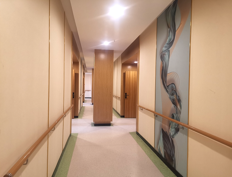 重慶菜園壩康心養老服務中心