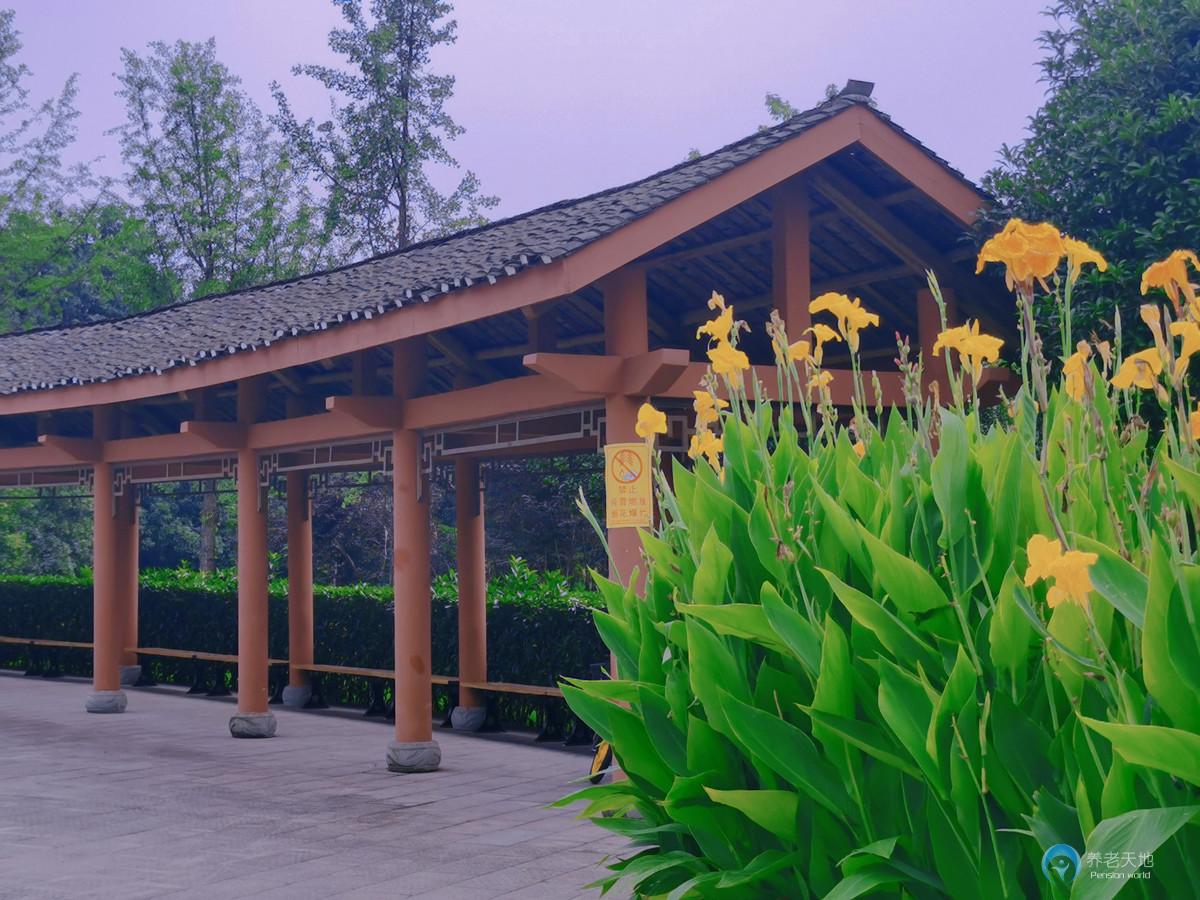 重慶兩江新區(qū)楠苑康復(fù)護理院