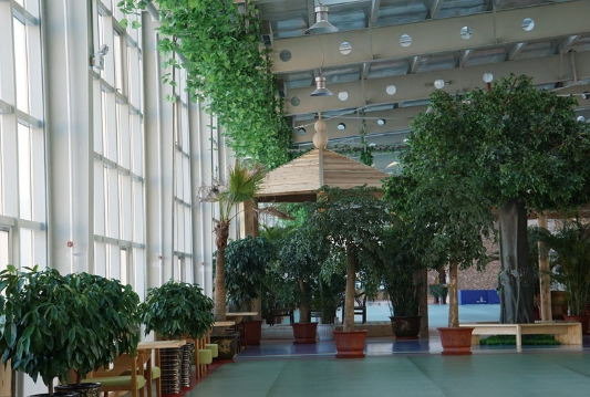 1596870590342043965.png 2.png