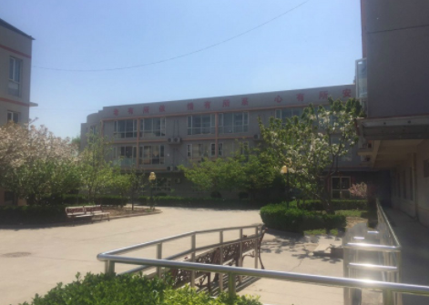 1611125174621076974.png image.png