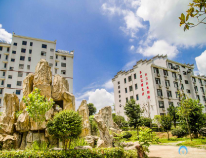 1617953943463090590.png image.png