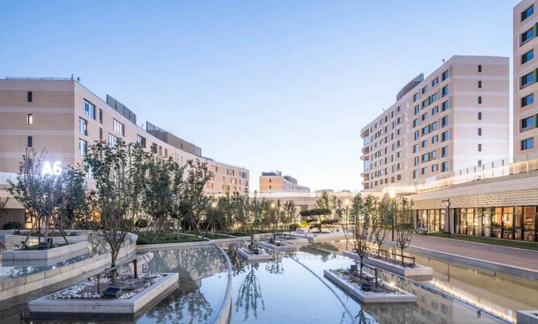 1623294610394083388.jpg 1623294610394083388.jpg