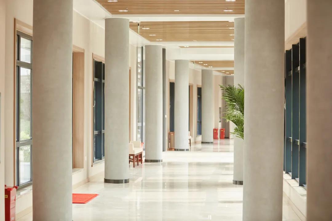 1623295068505063070.jpg 1623295068505063070.jpg