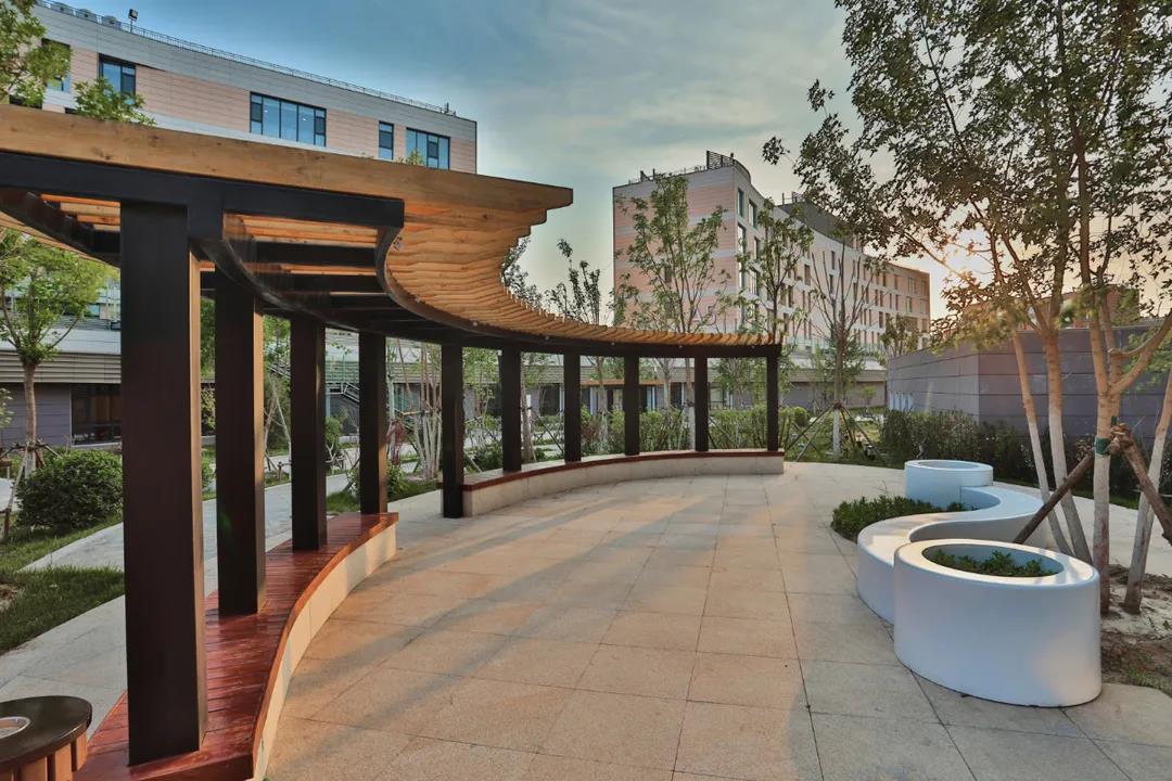 1623295081327042004.jpg 1623295081327042004.jpg