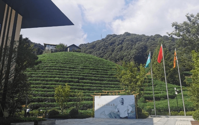 1701135169185069579.png 12.png