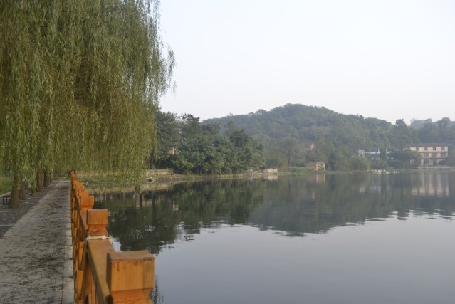 1716532195297038136.jpg 1716532195297038136.jpg